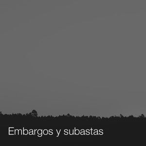 Abogados de Embargos y Subastas Judiciales Valencia